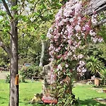 Bed & Breakfast Domaine De Capoulade Narbonne