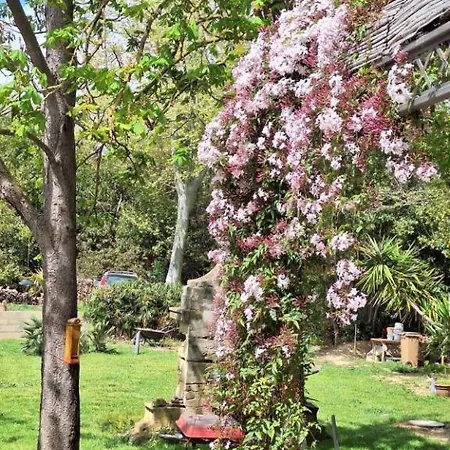 Bed & Breakfast Domaine De Capoulade Narbonne