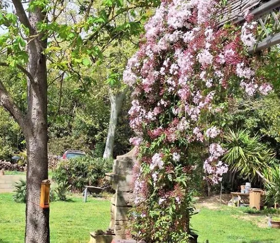 לינה וארוחת בוקר Domaine De Capoulade נרבון